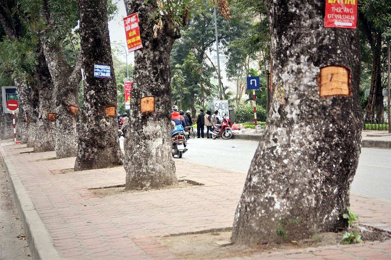 cb830e725465049439d3.jpg