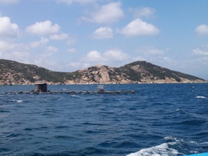 cbafa87e33be713b3d67.jpg