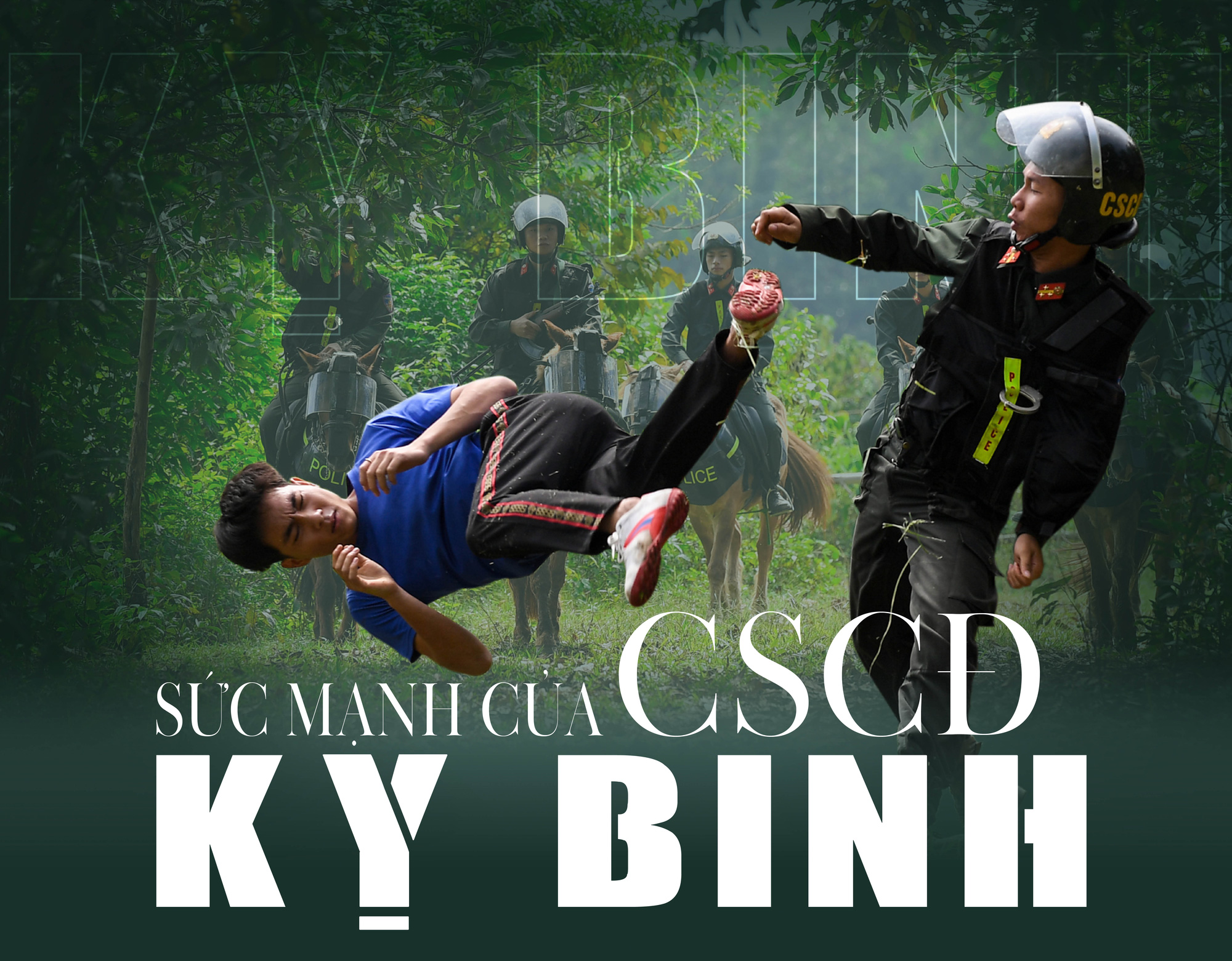 cbce5d0642dc17b54504.jpg