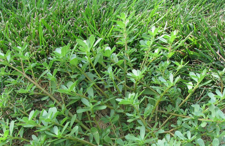 cbd4a4a16959ef1dc909.jpg