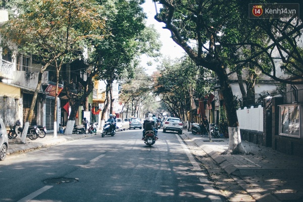 cbd77986eca903955d49.jpg
