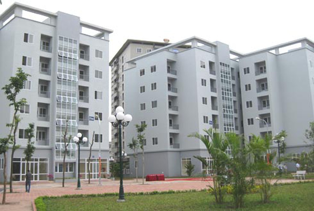 cbda852dbd16aad49012.jpg