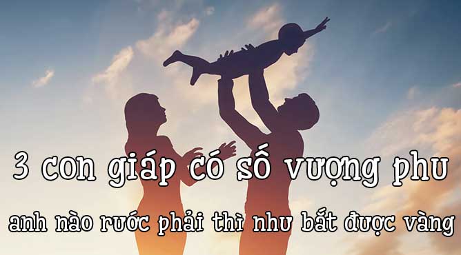cc156755e3d46013325b.jpg