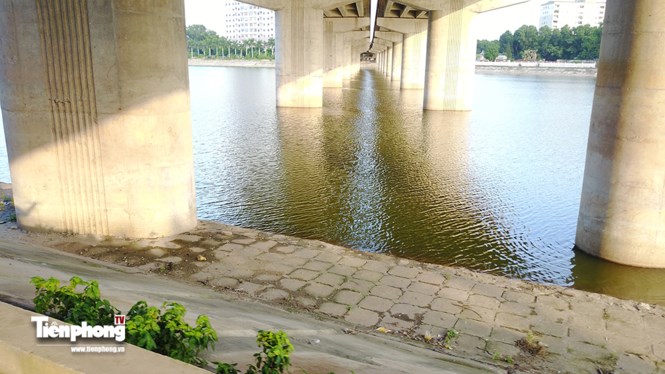 cc3f041ad090e9b73699.jpg