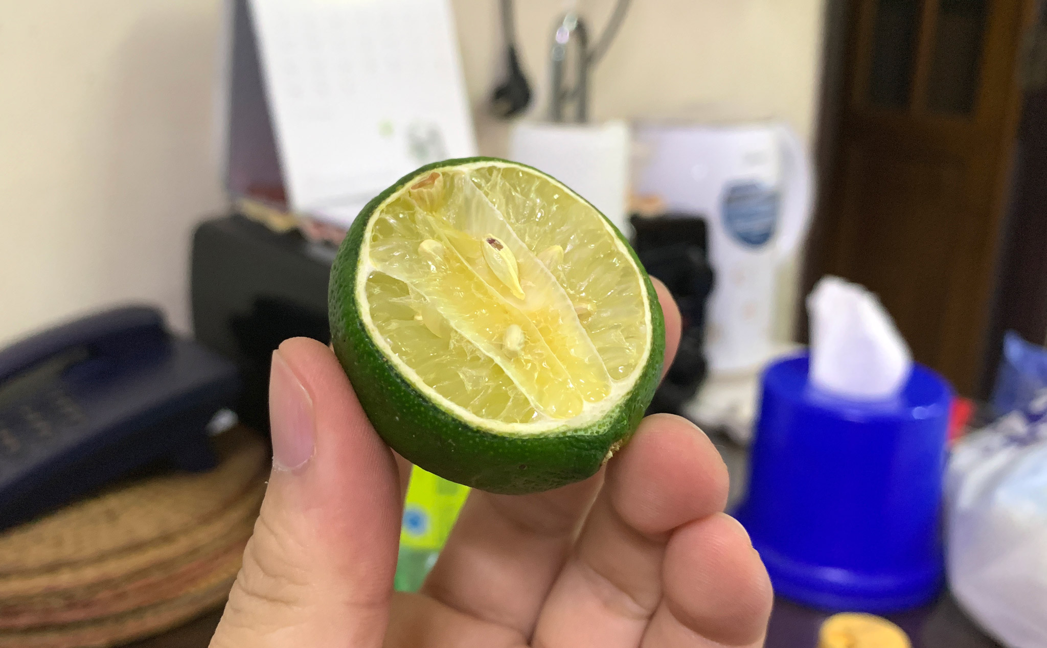 cc4b214a171c3c36dd7c.jpg