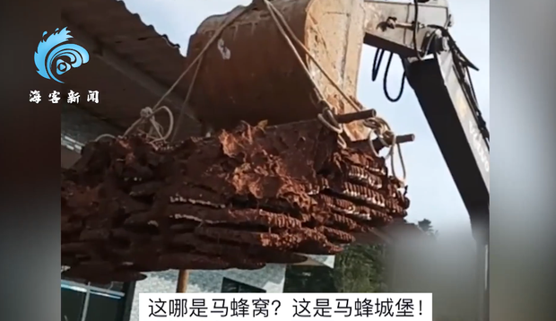 cc5567e7d12cfc43ec63.png