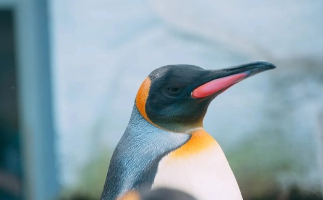 cc9c054f249c11ef930c.jpg