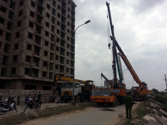 cca916d21d1ecc166997.jpg