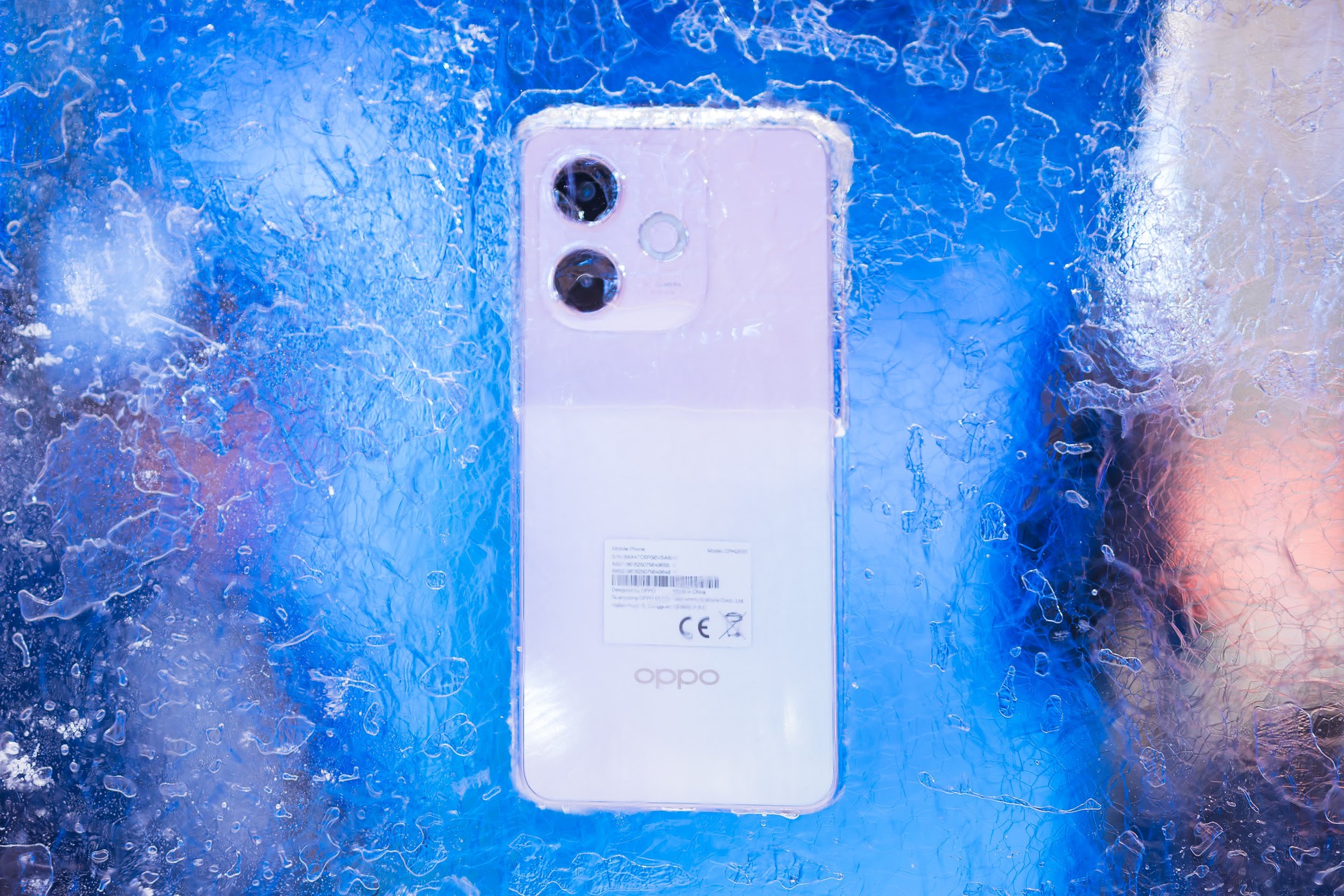 ccca97ff480a82f085b3.jpg