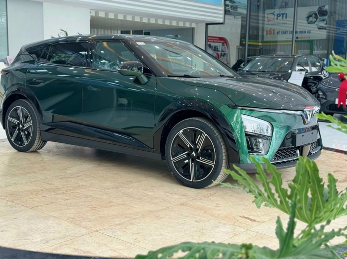 cce886db78e0224ec662.jpg