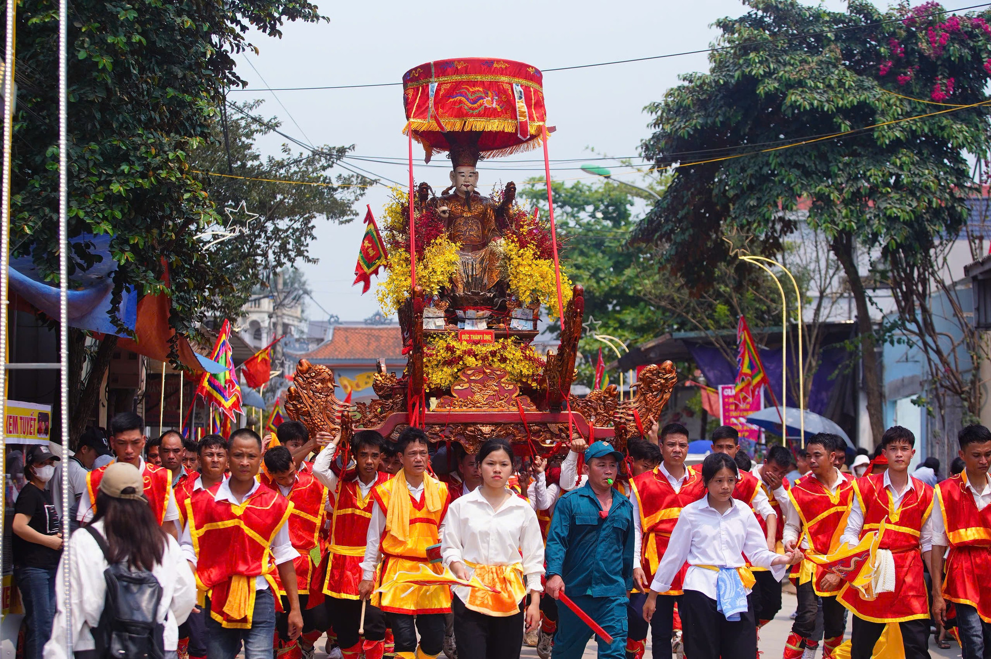 cceb5020133de9ef11d7.jpg