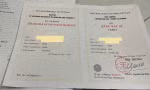 cd073ced87627fb6fd40.jpg