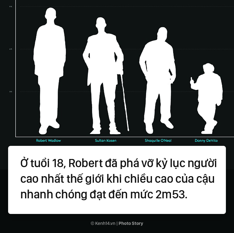 cd3cafcde1dc041fce25.png