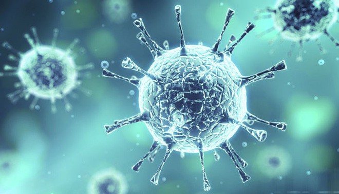 cd49ce8abf55ca3932c7.jpg