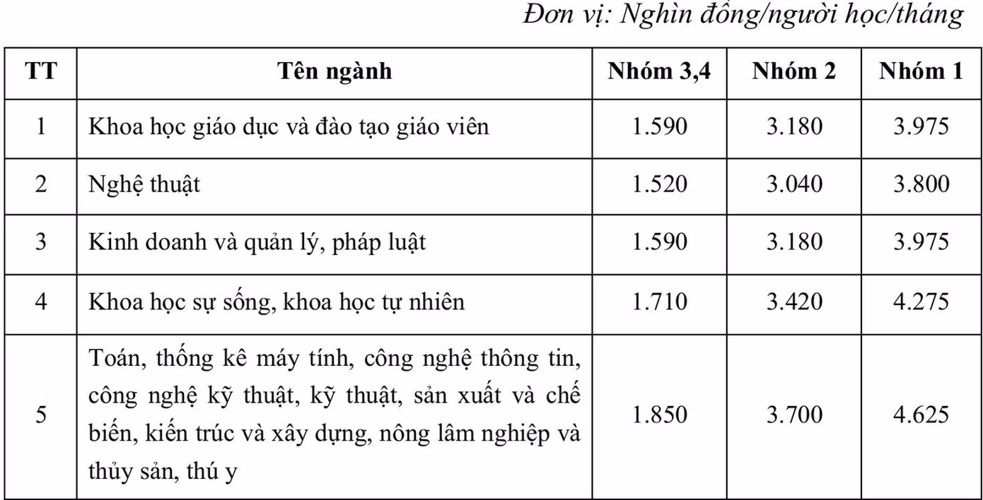 cd628e93c961888d7c7f.jpg