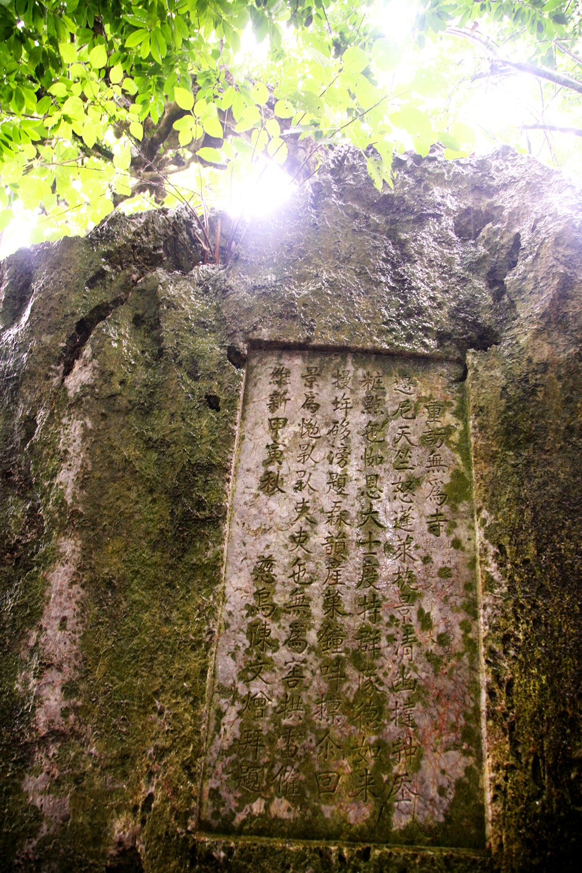 cd7fa54347d422895794.jpg