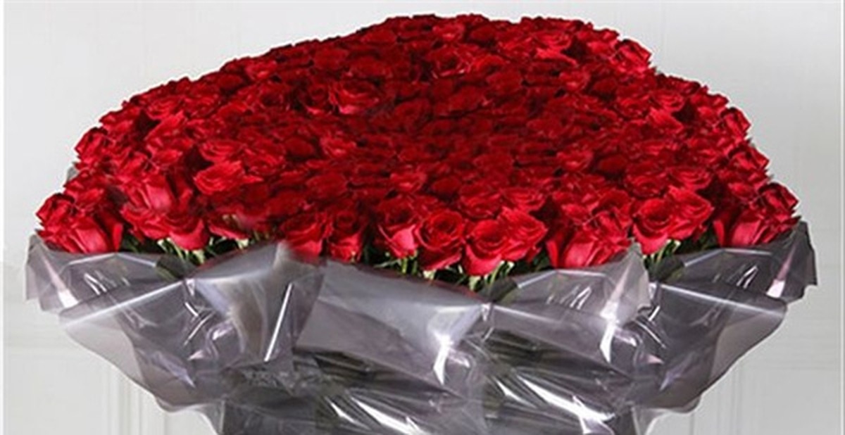 cd8287daad43d602224c.jpg