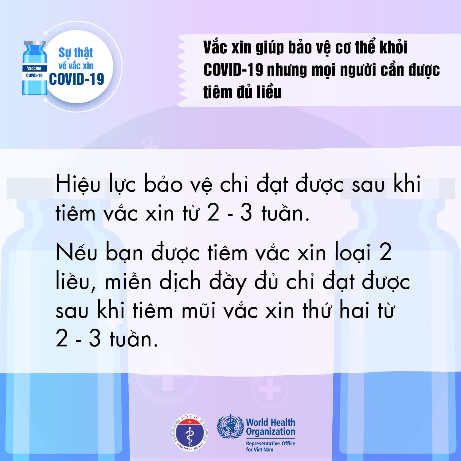 cdcff6e51fa44a1f71ad.jpg