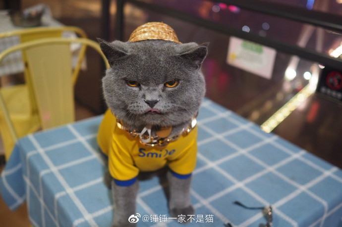 cddb2949f1a65e28a9dd.jpg