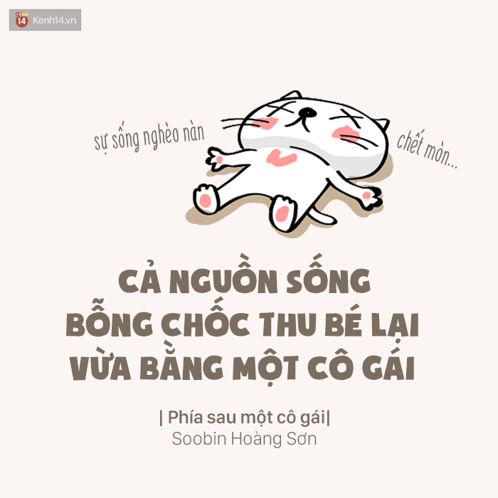 cdf493009c57fef4a5c3.png
