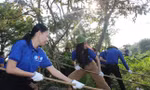 cdfd243e3bc045aa95d4.jpg