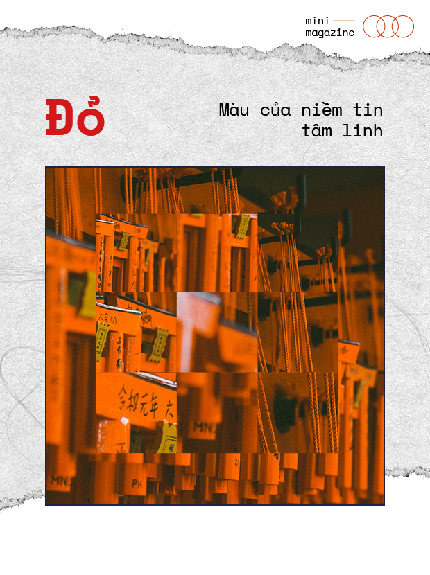 ce0586823f069e99b535.png