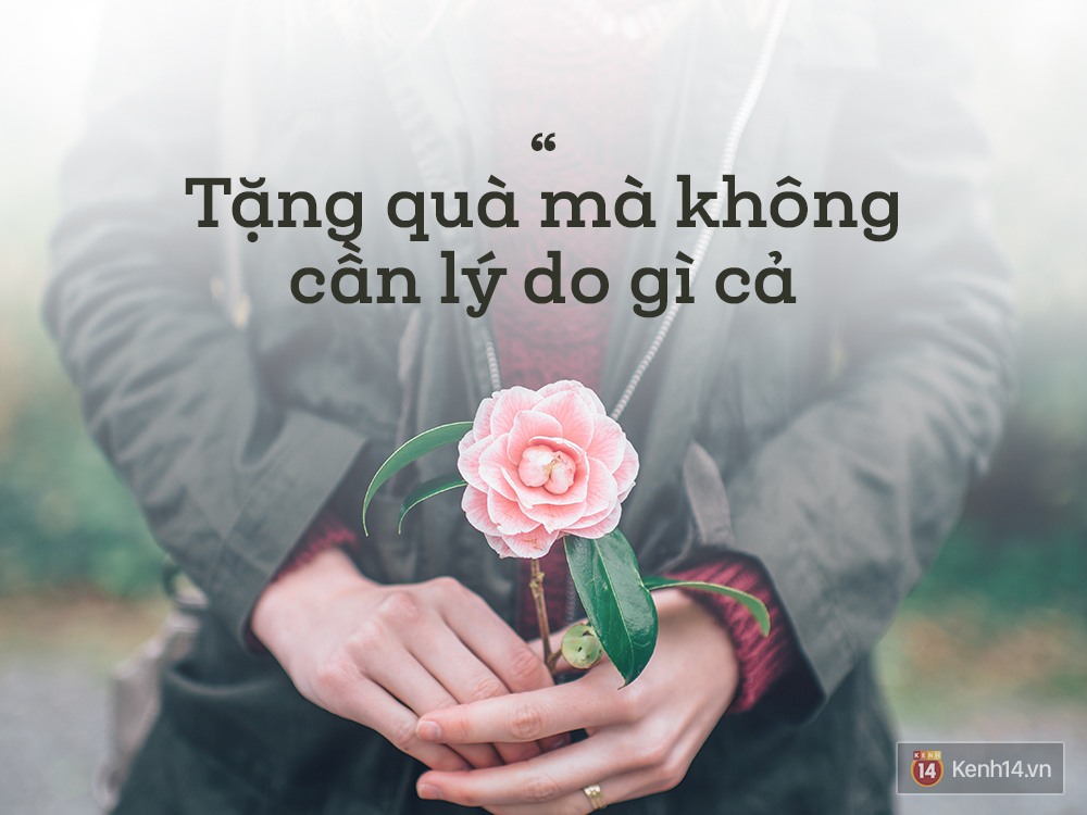 ce111484404566d13862.jpg