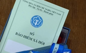 ce1cae18eb03718aa9d0.jpg