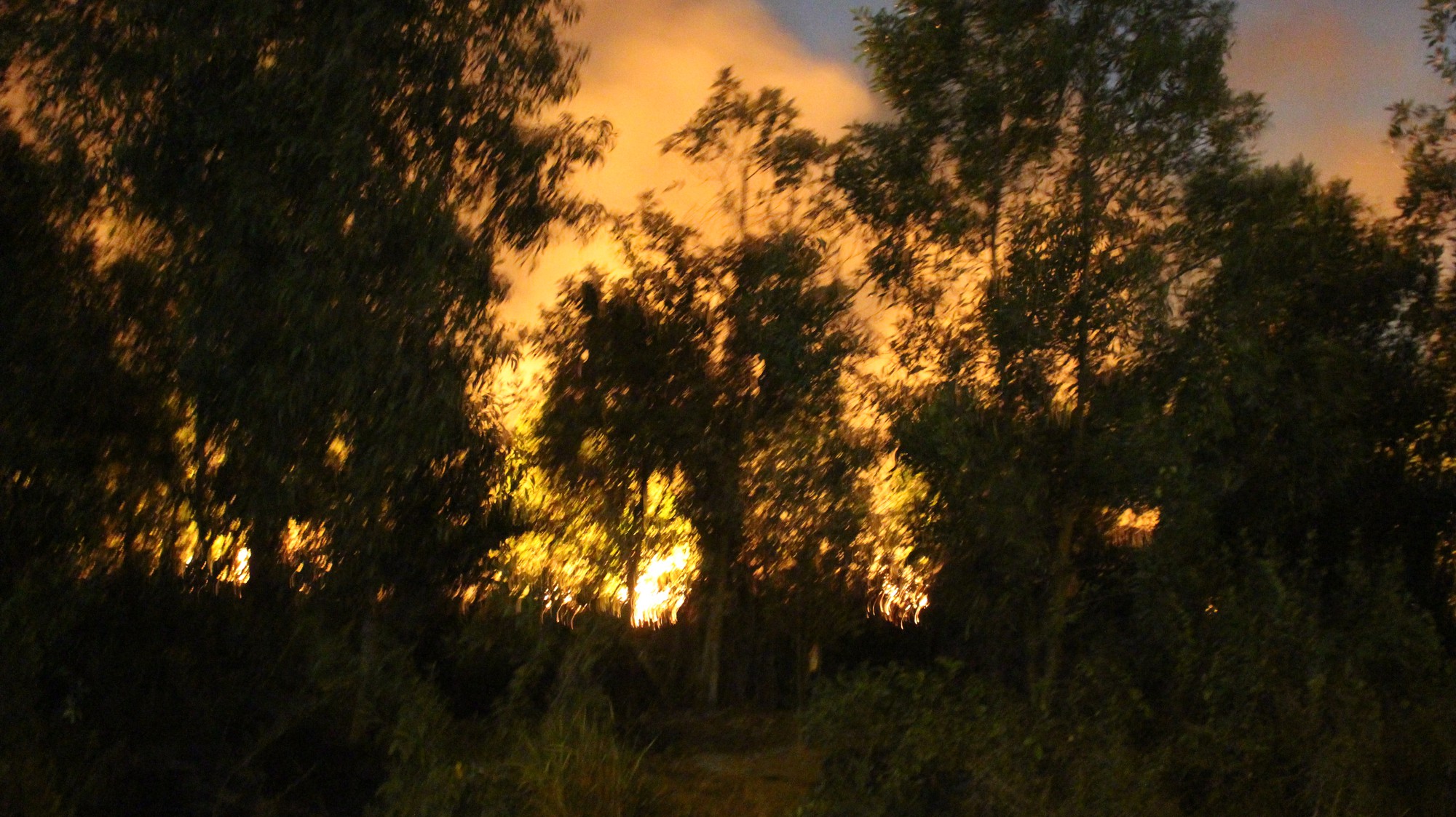 ce560695ac24ac16965a.jpg