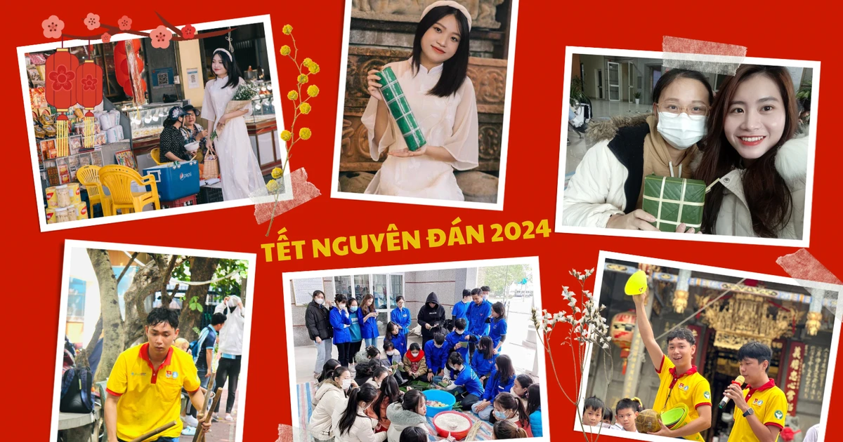 ce63a1f8f6ba38631aca.webp