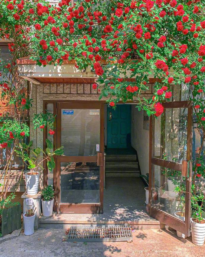 ce69379fa12a2d5dd41b.jpg