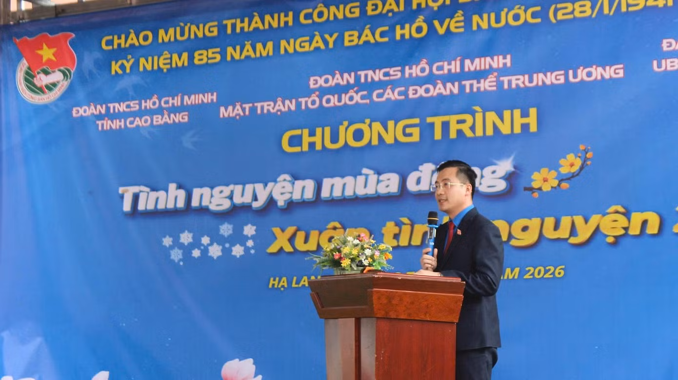 ce73b3a9b6cc41cfc461.jpg