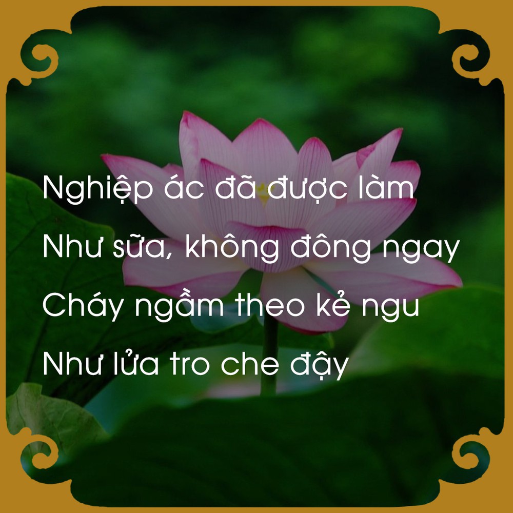 cea7cfc0870147cc271b.jpg