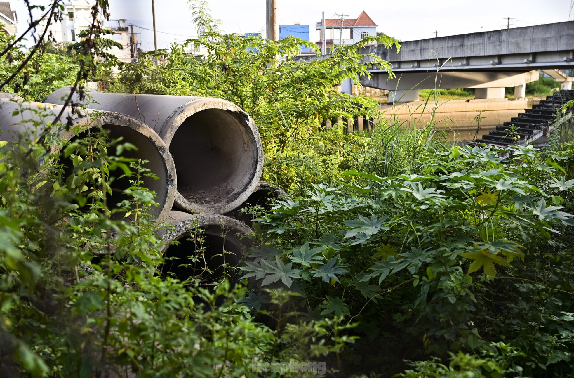 cec1f9812989b42761d9.jpg