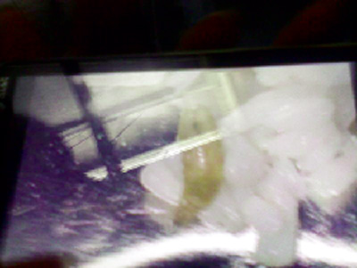 cec76e7fbb0368062783.jpg