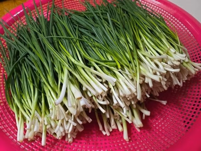 cec88c8142da95119586.jpg
