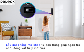 cefc6e68cb9ddc607862.png