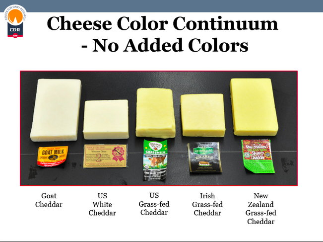 cf14664086cbc9808581.png