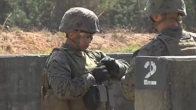 cf4bb84500c88f013c44.jpg