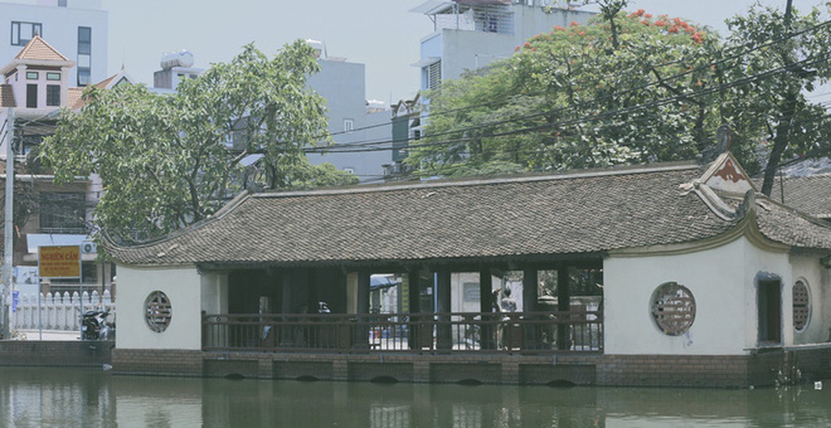 cf800618e6e5bf825211.jpg