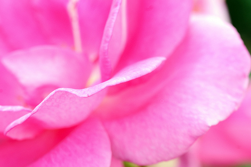 cf8d383213b3f4872de8.jpg