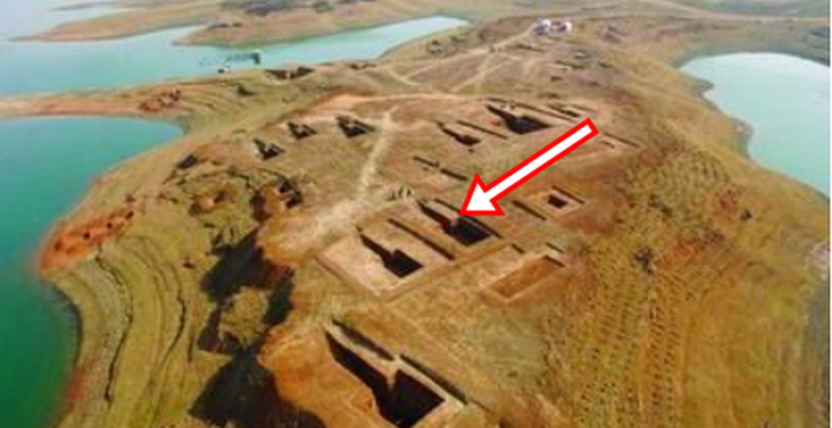 cfb2f57d75937685d573.png