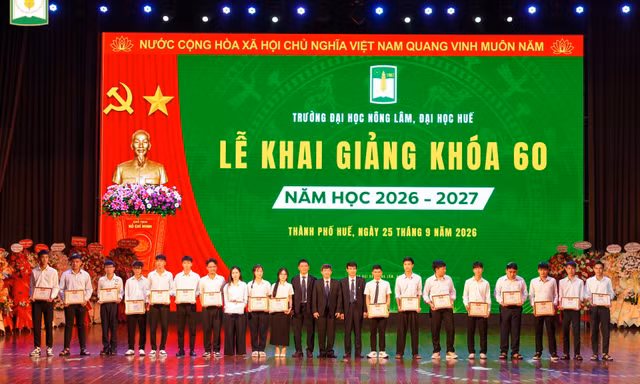 cfda24302078cd37e54d.jpg
