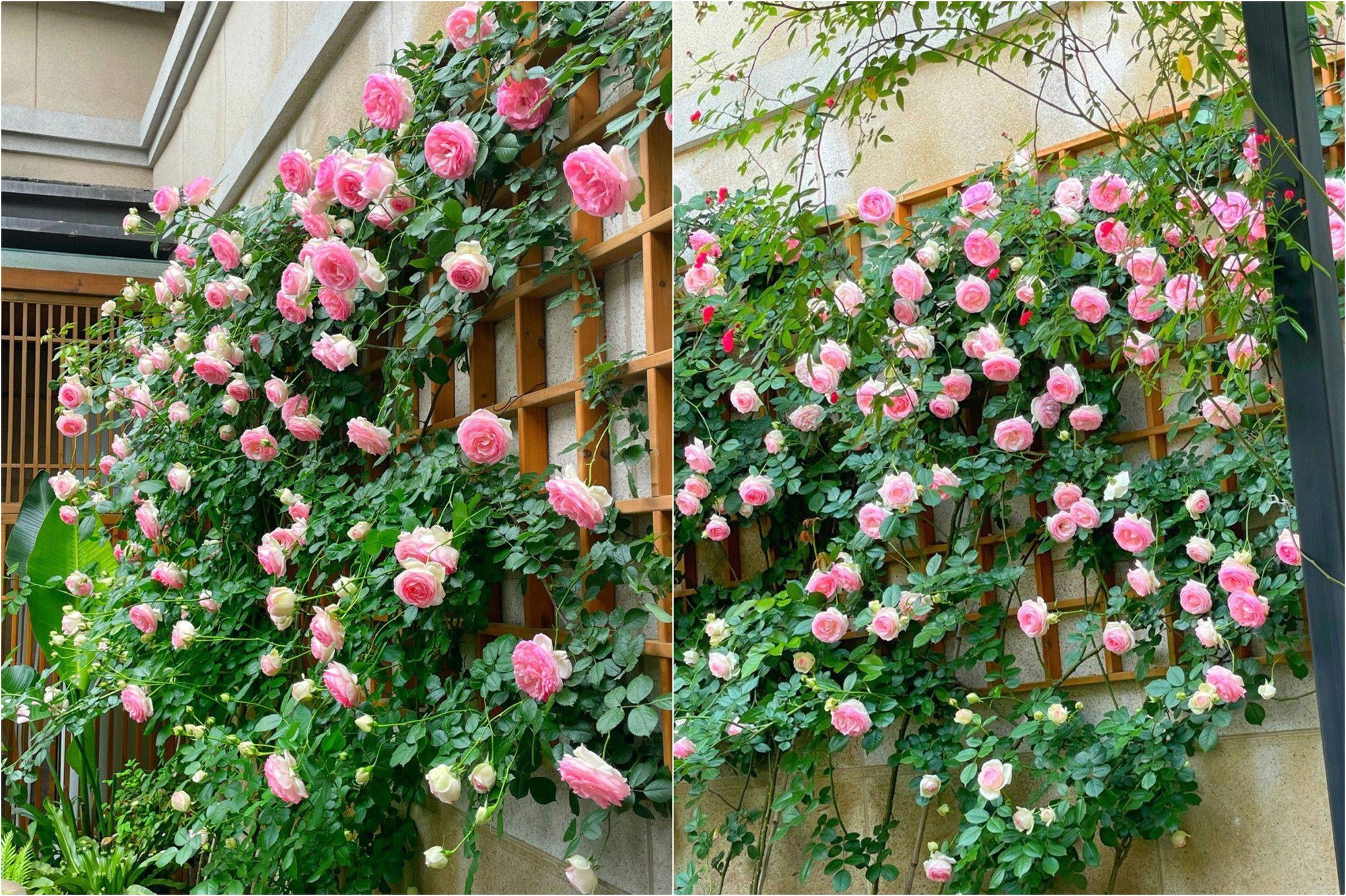 d040f628203c69899caf.jpg