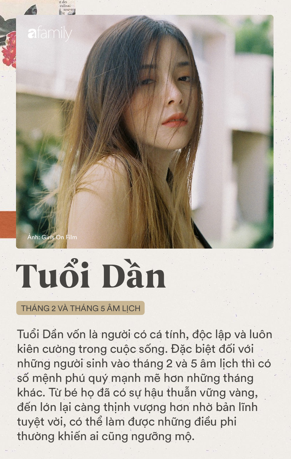 d046dae90a536251a5f0.png