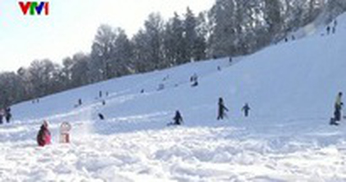 d055462bd8d255a8fb63.jpg