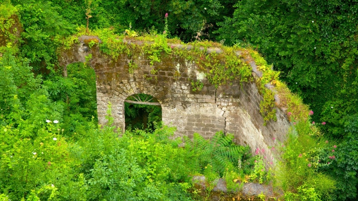 d06076c7092f6084382c.jpg