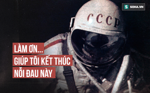 d077aa656afec533e303.png
