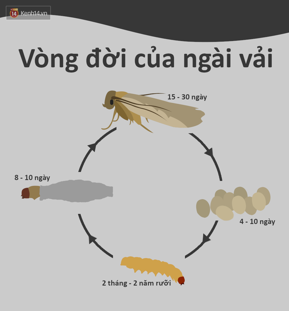 d07be9770bcb915a3708.png