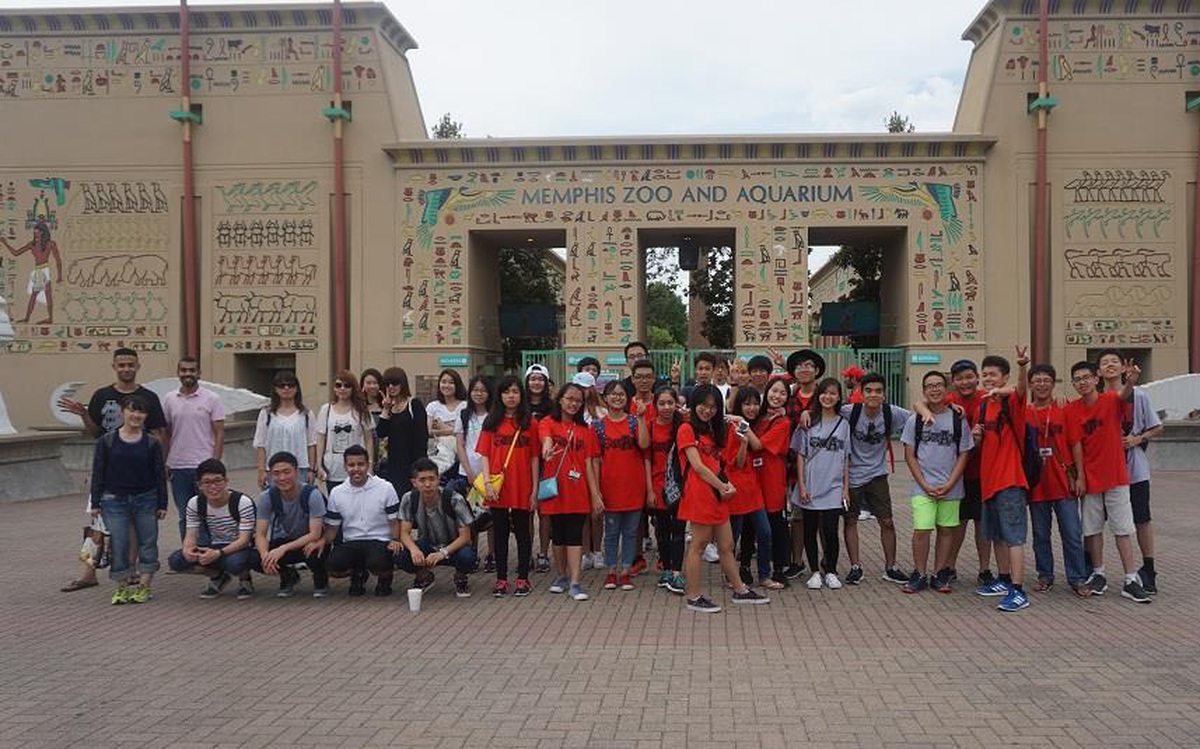 d08874bdfb392ec038ff.jpg